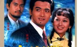 电视剧上海滩在线观看,传奇人生，激情岁月