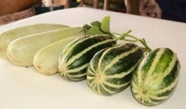 吃瓜香的网红叫什么来着,揭秘“吃瓜香”网红的爆红之路